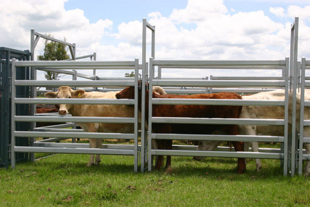 Heavy Duty 25pcs Bundle Heavy Duty Cattle Corral Panels For Sale & Gate for Au