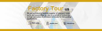 Yueqing Wanlian Electric Co., Ltd.