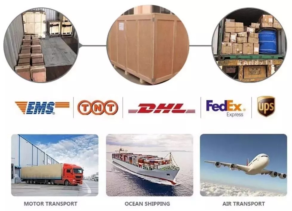 Sinotruk HOWO Spare Parts Double Truck Air Horn