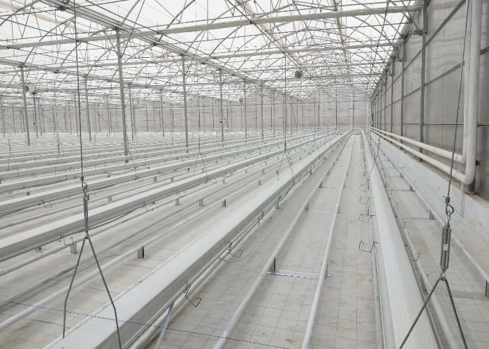 Steel Frame Polycarbonate Greenhouse For Vegetables Multi Span PC Board Greenhouse Agriculture Outdoor