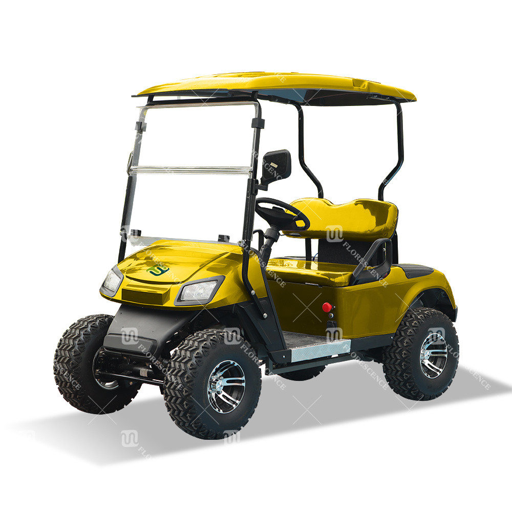 CE Certificated AEV Ranger Golf Cart 25Mph-40Mph Customizable