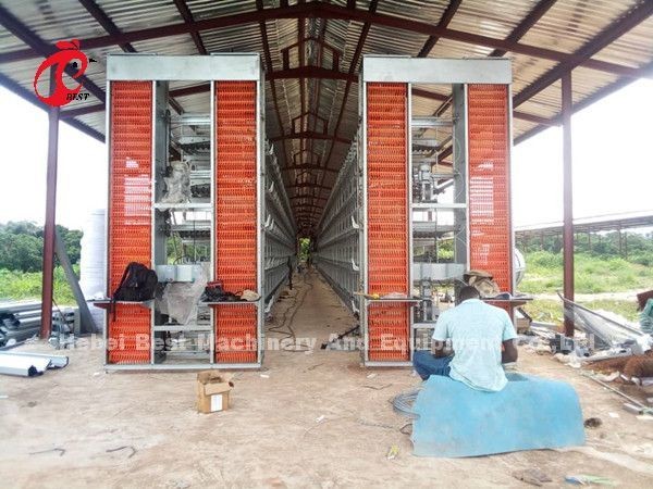 A Frame Animal Poultry Farming Battery Cage System Stable Structure 2022 Hot Selling Emily