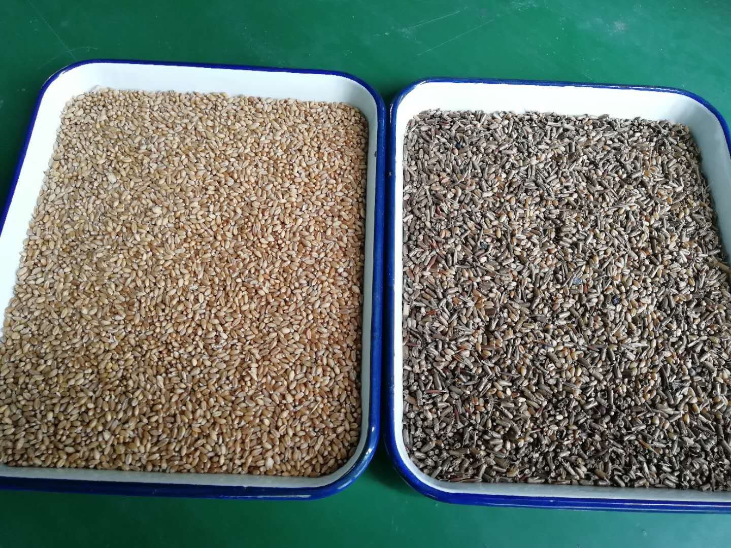 Cheap Price Automatic Optical Ccd Color Sorter Equipment For Grains Beans Rice