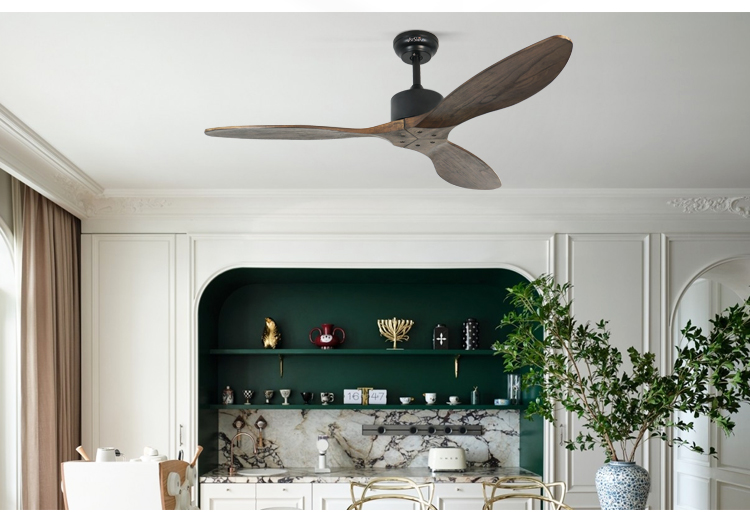 ceiling fan