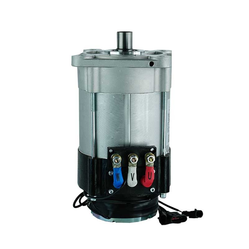 Electric Golf Cart Motor