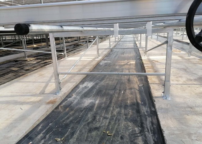 Diy Commercial Greenhouse Rolling Benches Galvanized Steel Mesh For Orchid Nursery Flowers Irrigation