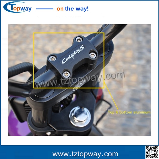 citycoco/seev/woqu 1000w with battery can be removed 18*9.5inch big tyre