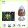 Buy cheap Hot sale Tribulus Terrestris Extract Fructus Tribuli P.E. powder 40% Saponins from wholesalers