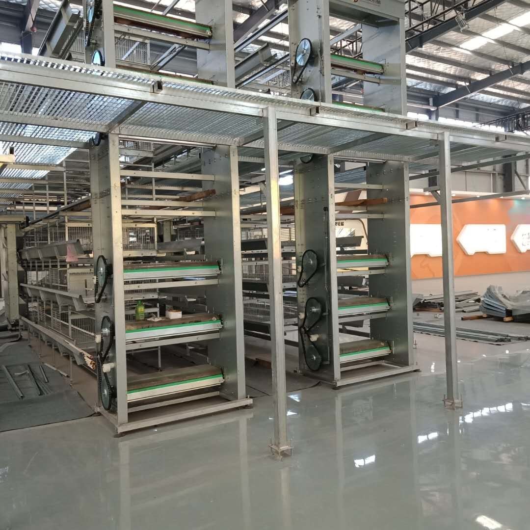 H Type Automatic Manure Removal System High Performance For Chicken Farm