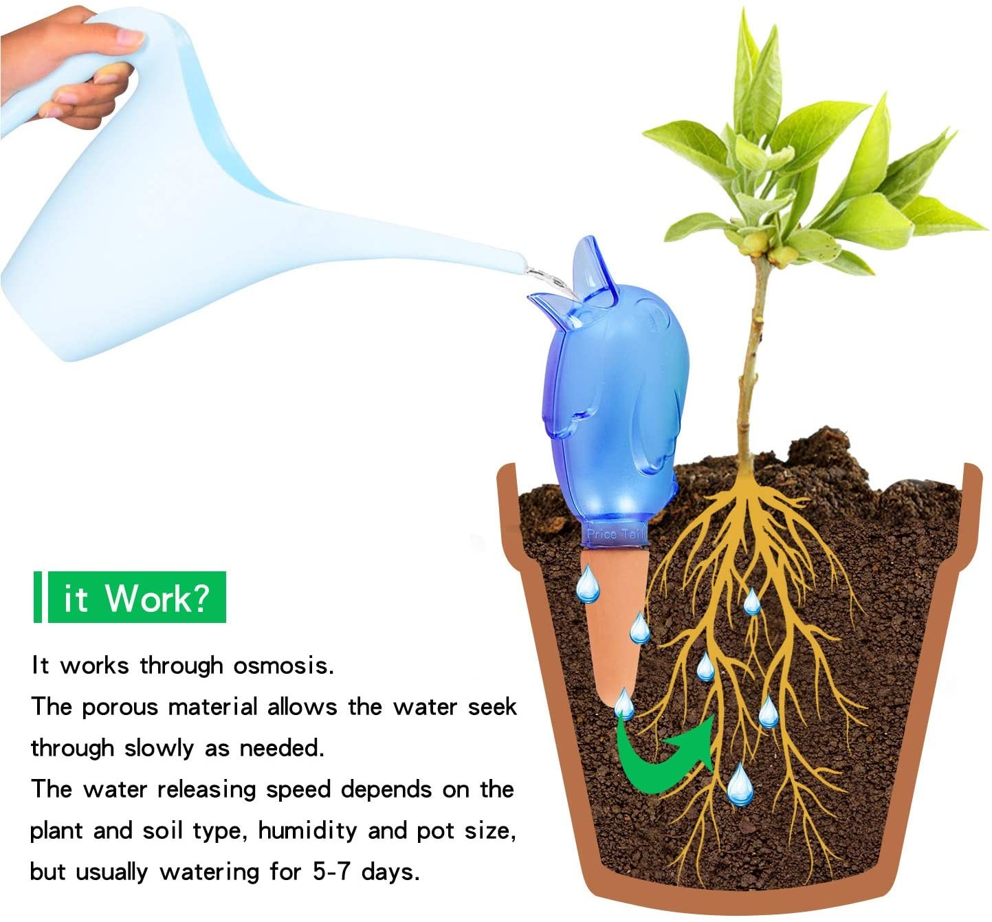 72hr 60ml Bird Plant Drip Irrigation Pot Automatic Watering Spikes