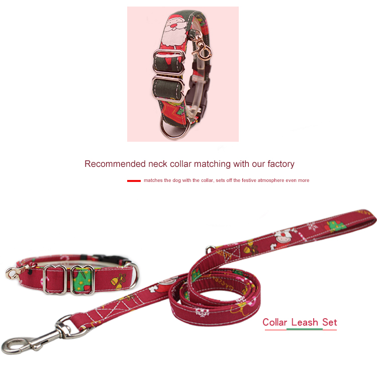 Adjustable Custom Printed LOGO Pet Dog Leash , Durable Nylon Rope Dog Leash