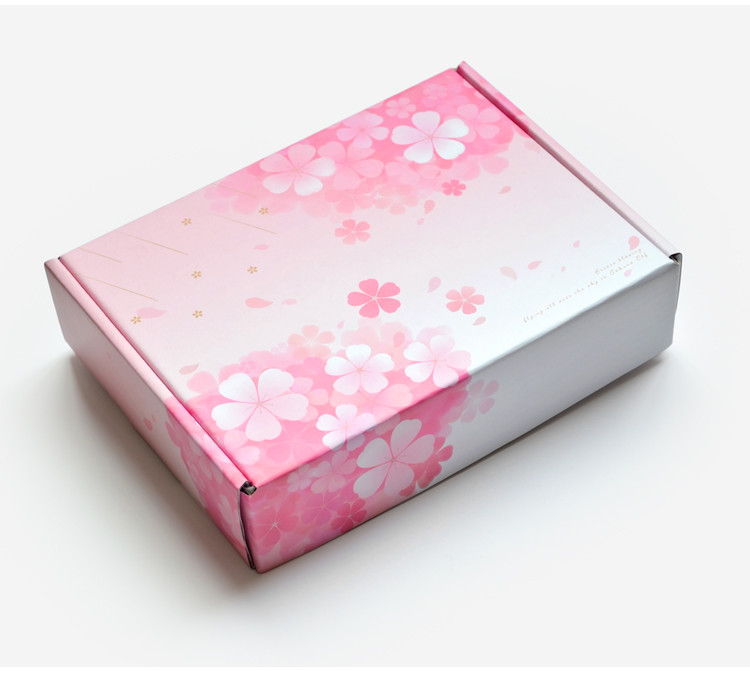 CSB0104 Cosmetic Shipping Box Corrugated Makeup Delivery Box
