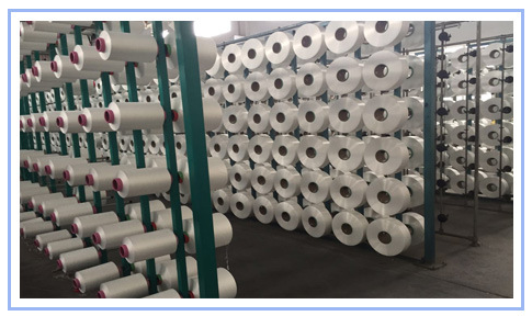 330GSM Knitting 160CM Double Plush Polyester Fabric