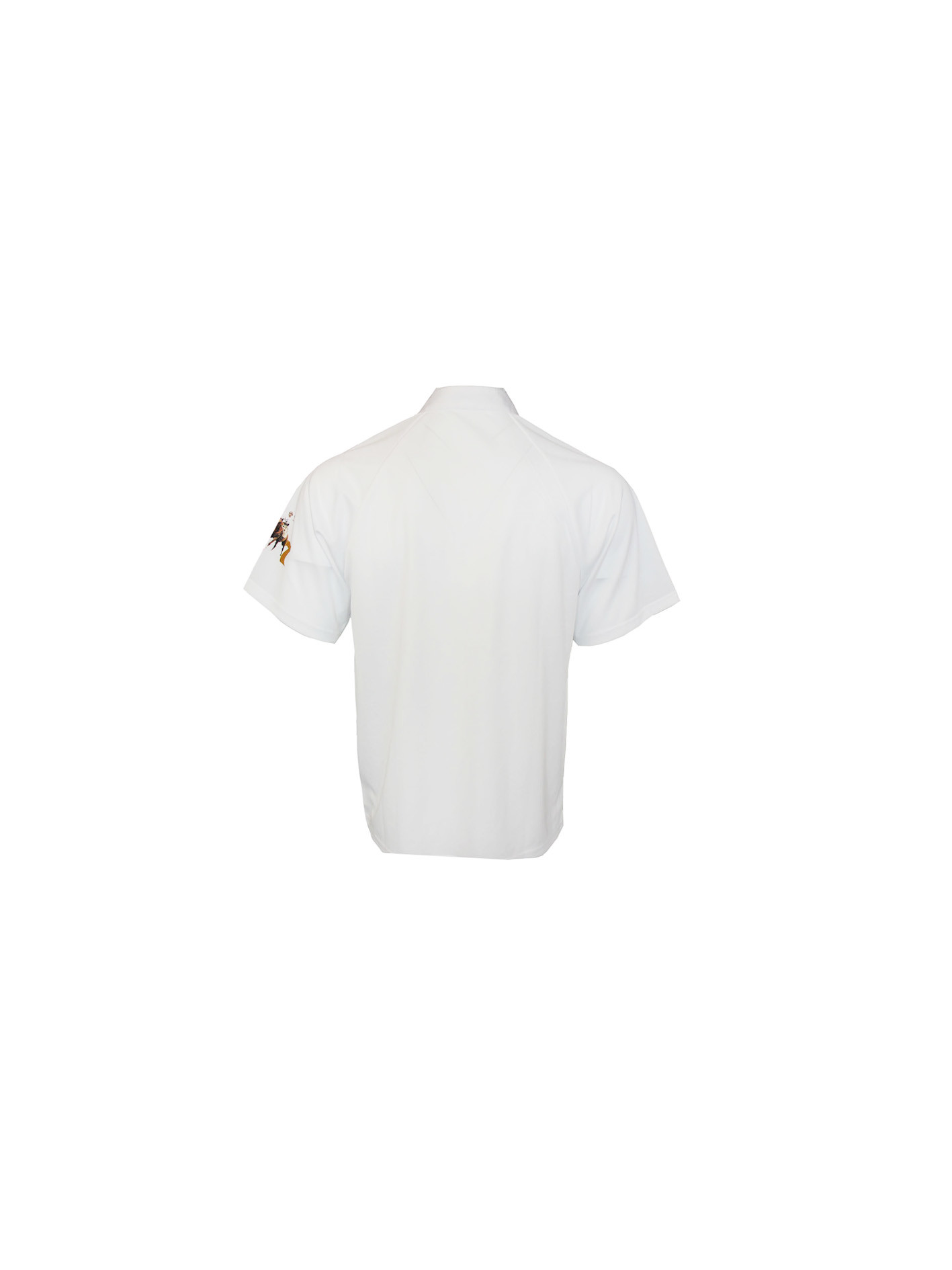 100% Polyester T-SHIRT & POLO Short Sleeve Men Sublimation Printing
