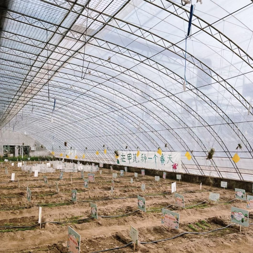 Flower Planting Drip Irrigation System Sunlight Greenhouse