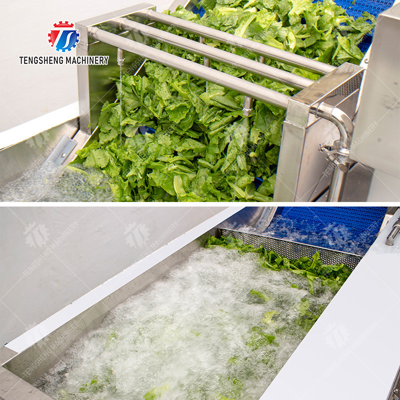 Ozone Disinfection Bubble Fruit And Vegetable Washing Machine 3.5KW 50HZ 380V