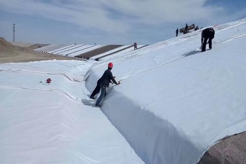 Drainage Engineering Solution 3D Geocomposite Drainage Mat with 5mm-12mm Geonet Core