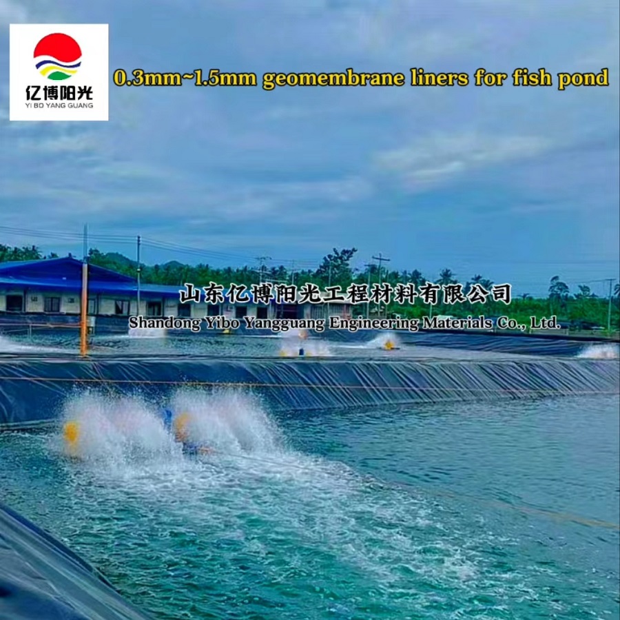 Black 100% Virgin 0.5mm HDPE Geomembrane Pond Liner for Pool Line