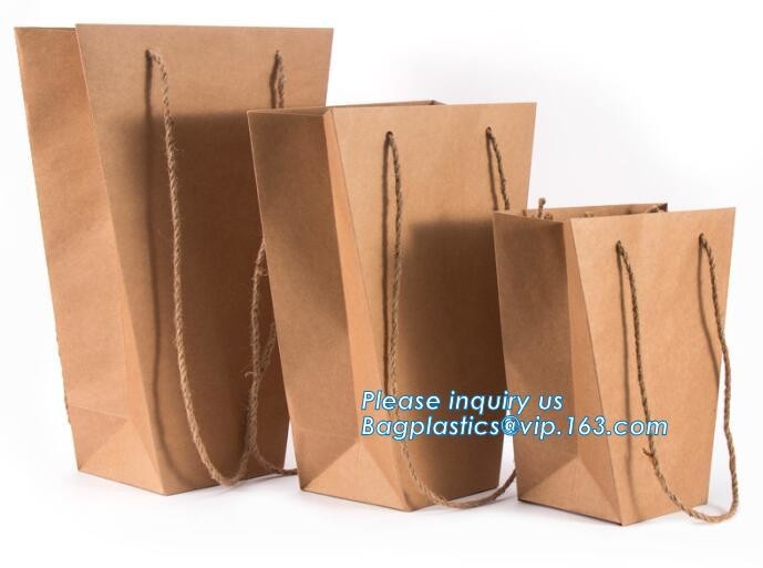 OEM Logo Printed Paper Packaging Bag Custom Good Quality Flower Carrier Bag,Art Paper Flower Carrier Bag Shopping Bags W