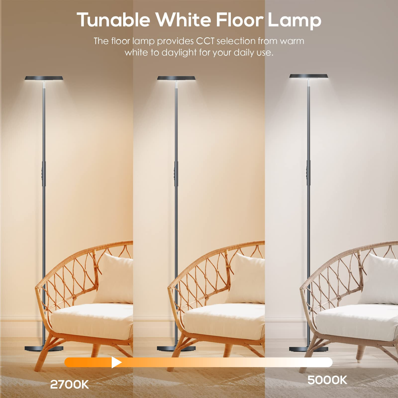 CCT 2700K-5000K RGB Corner Floor Lamp Alexa Voice Control 24V Dimmable