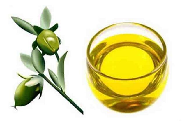 100% Percent Pure Cold Pressed Oil Jojoba Oil for Hair and Skin
