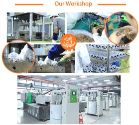 Guangdong Shunde Remon technology Co.,Ltd