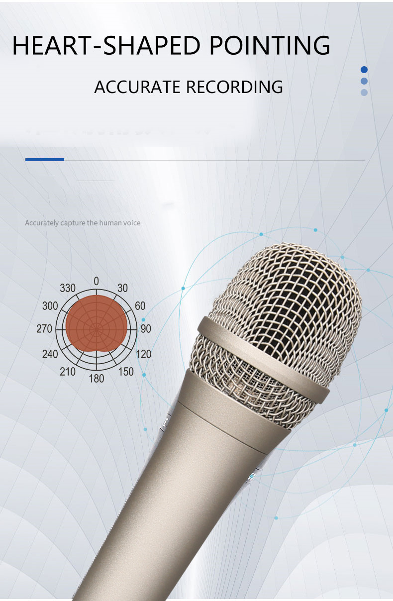 OEM ODM Home Studio Microphone 12mv/PA Karaoke Singing Mic