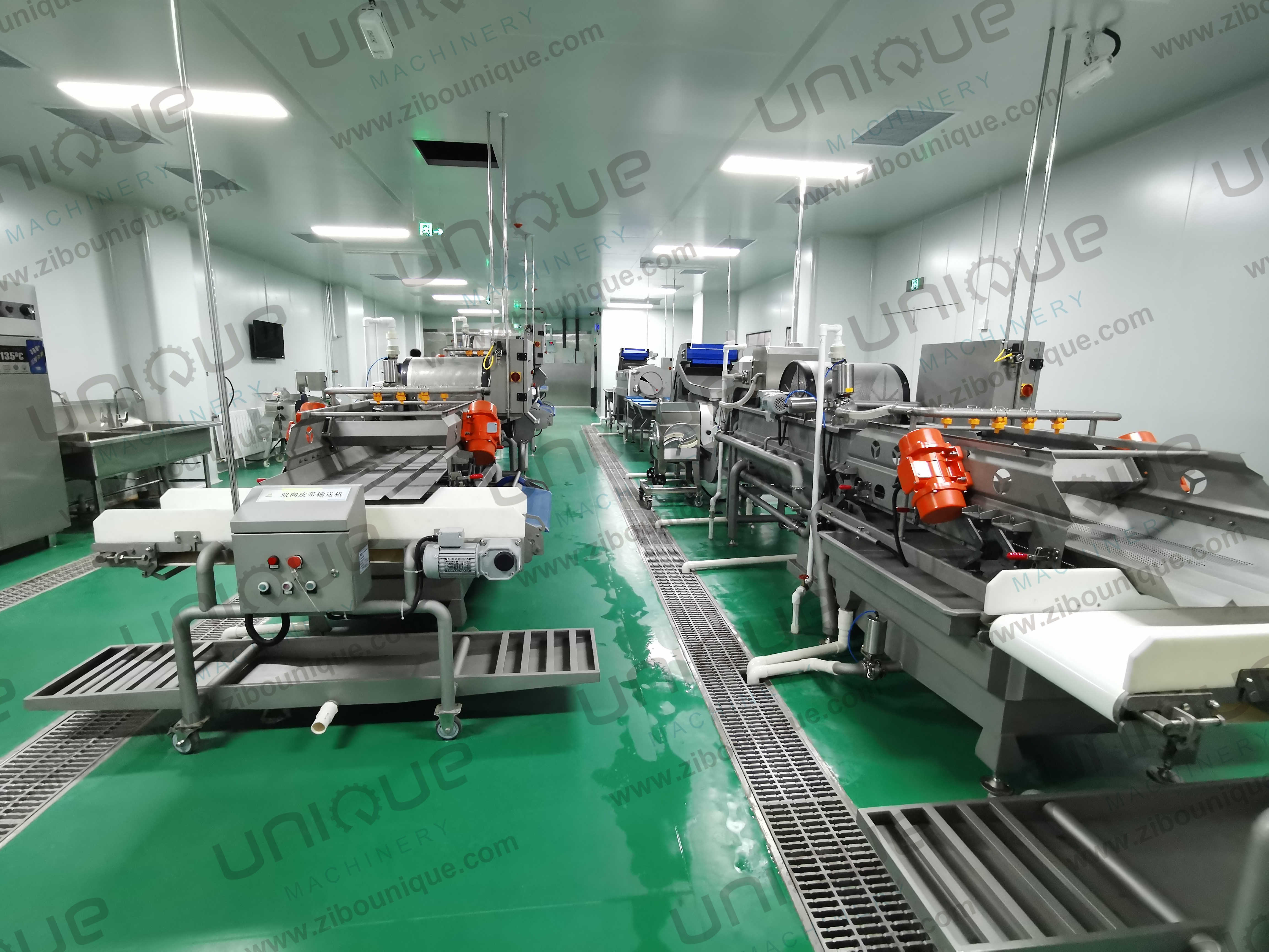 220v/ 380v Stainless Steel 304 Nut Selecting Conveyor Belt for Raisin Sorting Machine