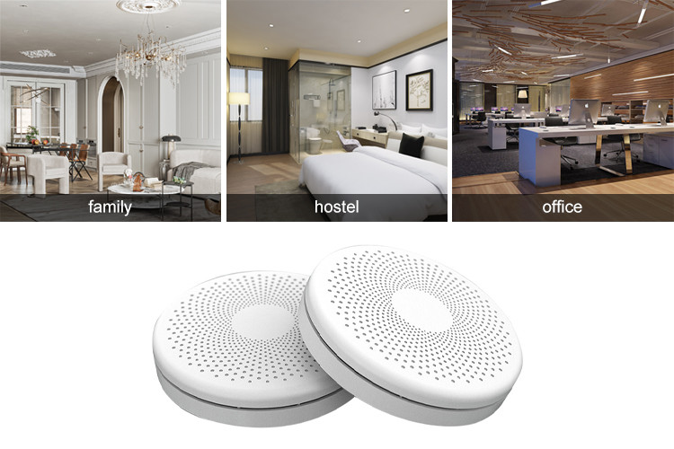 3 Years Wireless Tuya Smoke Alarm System Smoke And Carbon Monoxide Detector Alarm For Hotels