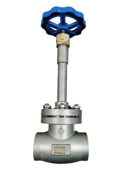 Liquid Ammonia SS304 SS316 Cryogenic Globe Valve
