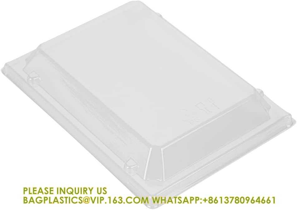 20 Ounce Compostable Food Containers, Rectangle Wooden Bento Boxes - Flare, Grease Resistant, Natural