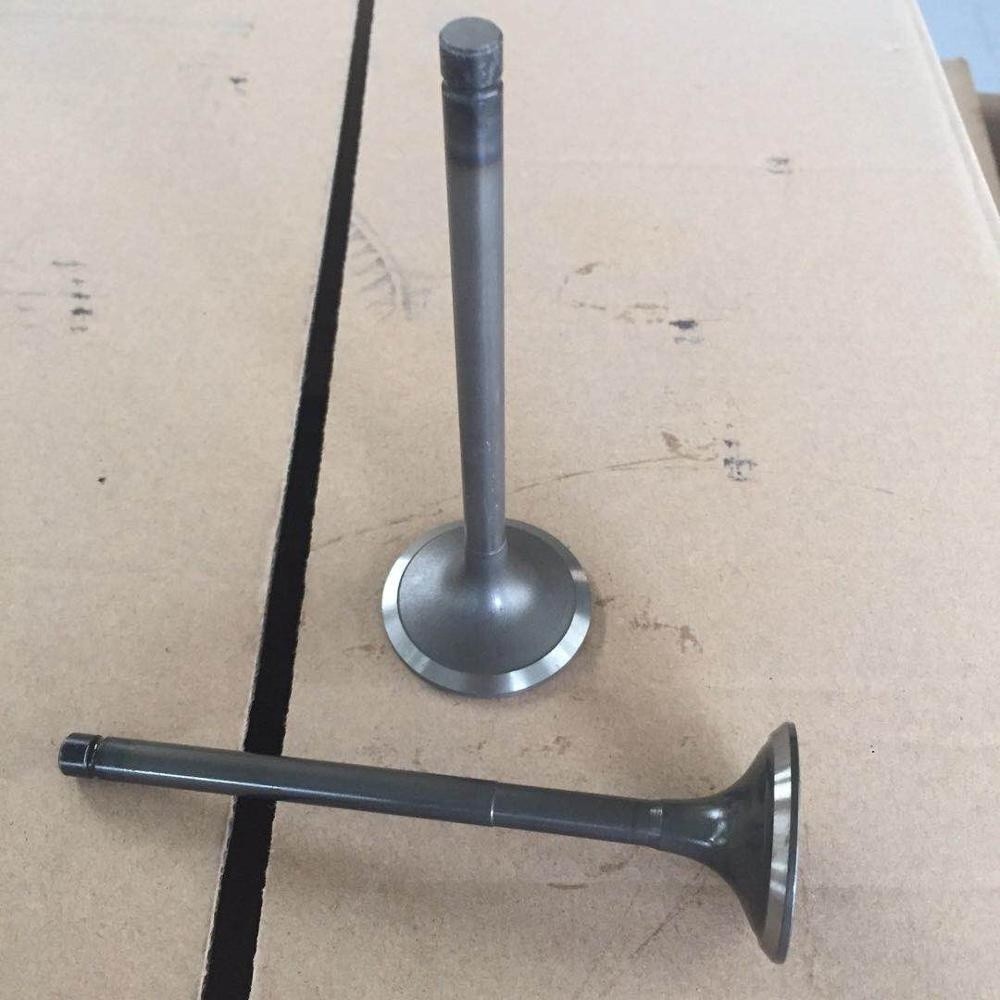 Car Auto Parts Diesel Engine Valve DB31 6DB 8D8 Truck Accessories