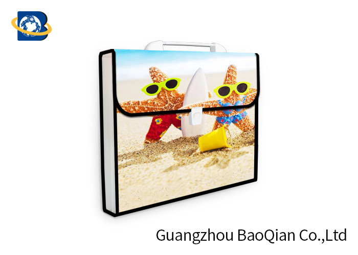 3D Lenticular Picture Expanding File Folders , Presentation Folder Printing