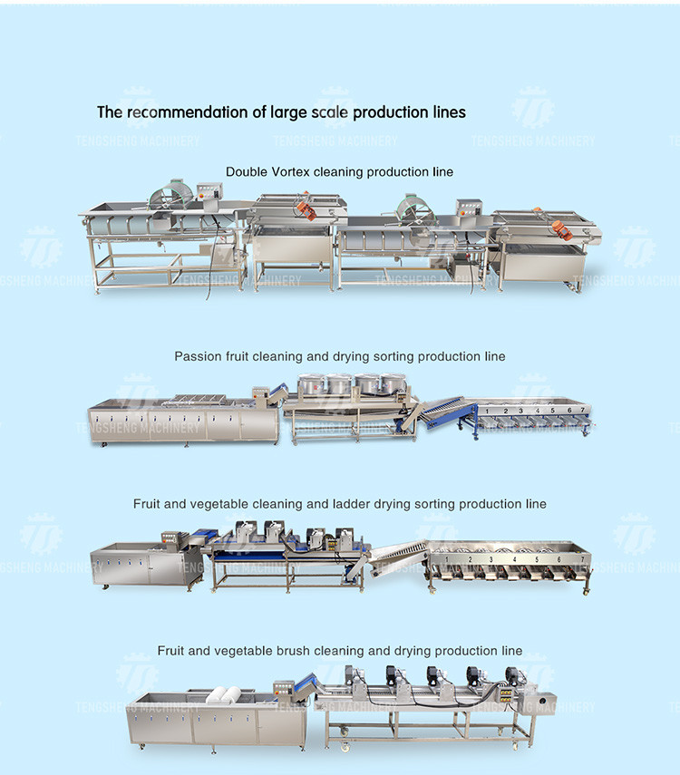 Vegetable Hair Roller Bubble Washing Selection Cutting Machine Production Line
