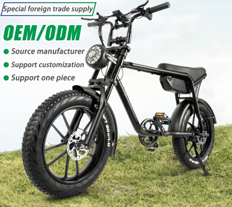 20 Inch Fat Tire Electric Bike 750 Watt Superb 73 Hot Aluminum Alloy Frame 48V 17Ah