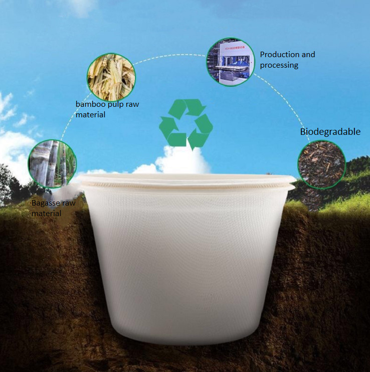 Biodegradable Sugarcane Bagasse Cups Disposable Fiber Pulp Cup 12oz Take Out