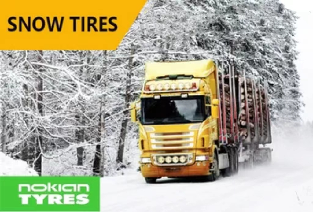 Winter Snow Tire Passenger Car Tyres with Standard Rim Size Tire Size 235/55ZR17