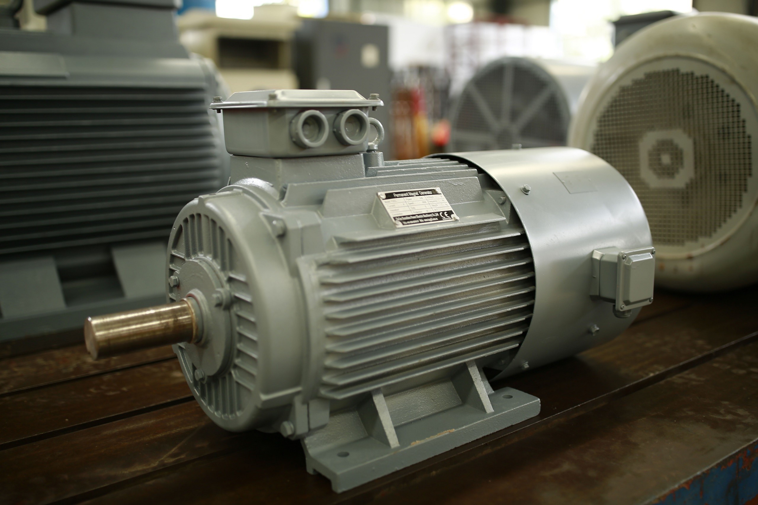 Single Phase Permanent Magnet Generator 12kw 600rpm 220V 60hz