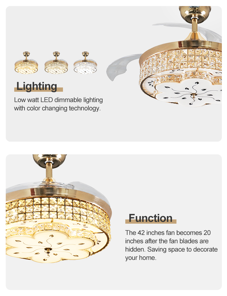 3000K Color Temperature 42 Inch LED Ceiling Fan with Hidden Blades and Design