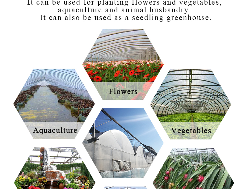 Double Layer PO Greenhouse Tunnel for Precise Temperature Control