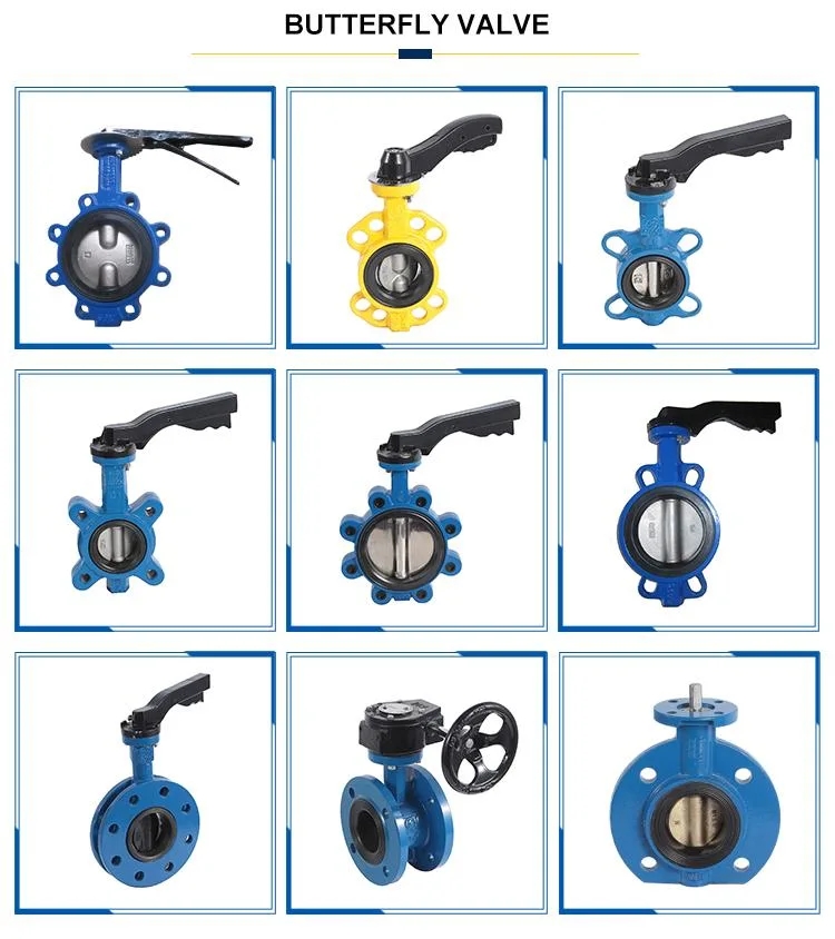 200mm PTFE Lined Butterfly Valve for Manual Operation in Industrial Applications