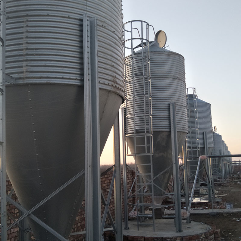 CE SGS Animal Cattle Silo Feed Bin 2750mm Dia For Poultry Farming