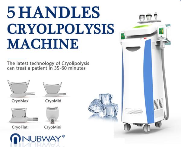 Multi-Functional beauty equipment kryolipolyse cool tech slimming machine