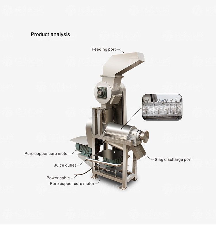Wholesale Fruit Juicer Commercial Large Juicer Stainless Steel Vegetable Juicer