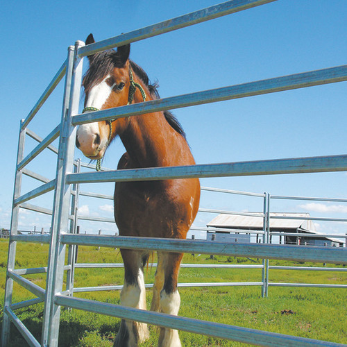 18m Diameter Horse Round Yard Panel 26Pcs incl. 3m tall Gate