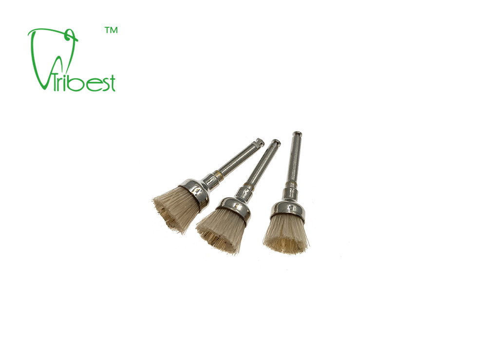White Bristle Brush Dental Polishing Kit Teeth Polishing Brush