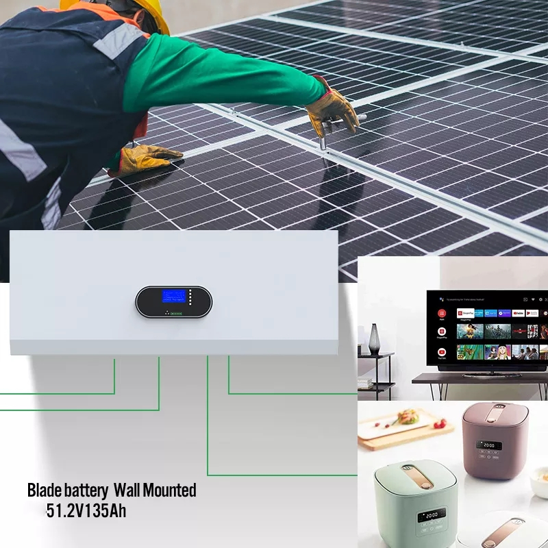 135ah 16s1p Wall Mounted Lithium Battery 51.2v LiFePO4 Blade Phosphate Battery