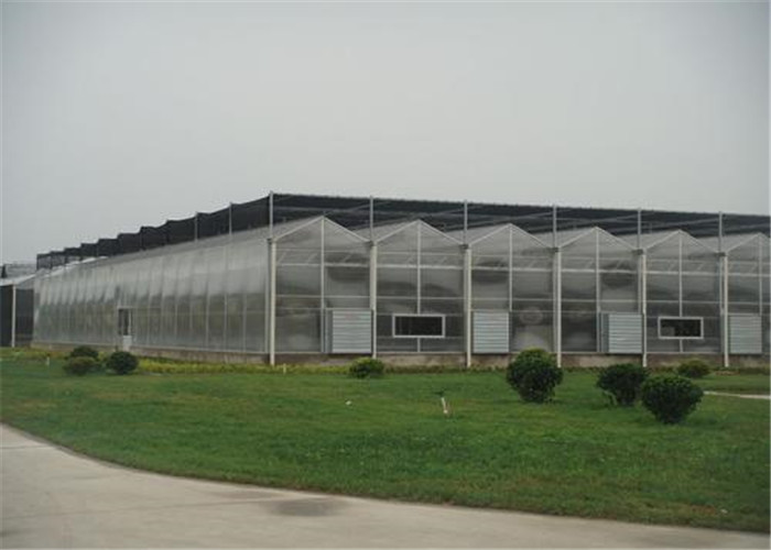 Anti Condensation Plastic Panels Greenhouse , Ecological Greenhouse 2100mm Max Width