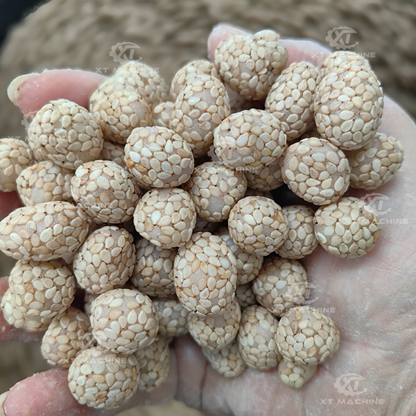 600-800kg/h PLC Control Peanut Coating Machine for Uniform Quality and High Production Efficiency