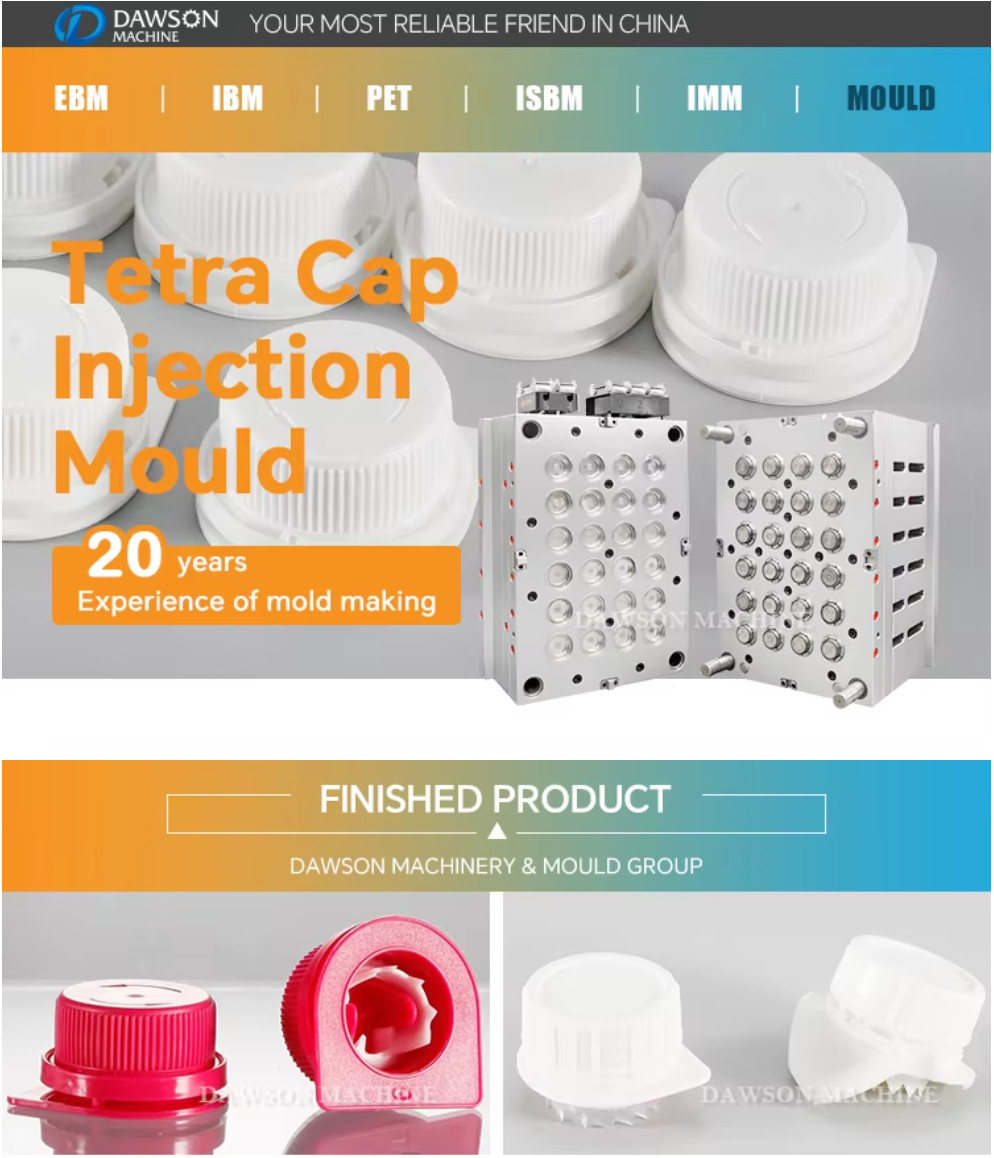 Expertly Crafted Single or Multiple Cavity Plastic Injection Moulding Service with More than 1 Mould Life